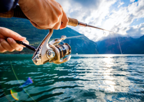 Aquatic Food Biosciences